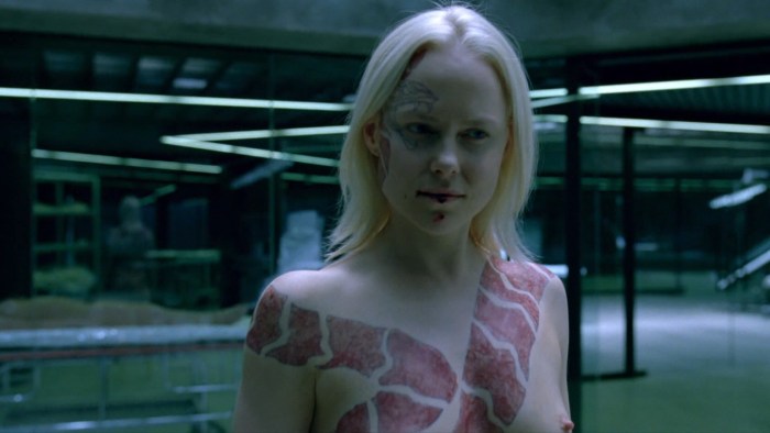 Ingrid Bolsai Berdal boobs