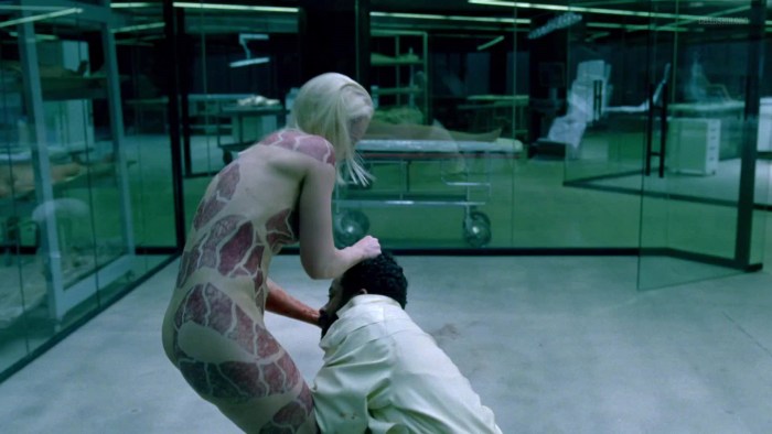 The world of the Wild West Ingrid Brozo Berdal