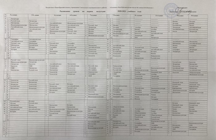 Read and Complete the Sentences