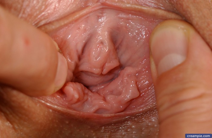 Inside the vagina close -up