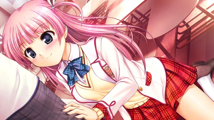 Daitoshokan no hitsujikai novel