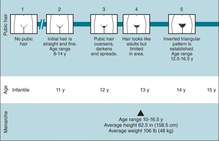 Vera Brezhneva is naked