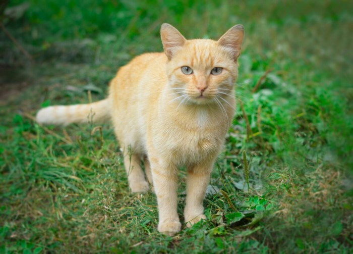 Mozyr Belarus on the map