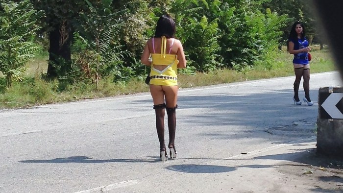 Night butterflies on the highway