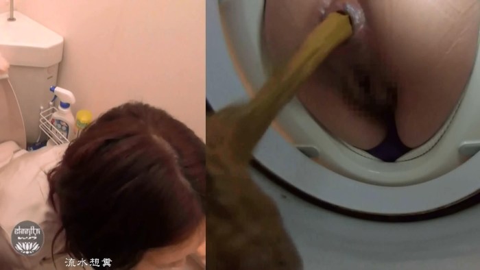 "Woman Pooping in Toilet and Masturbation Filthy Anal"