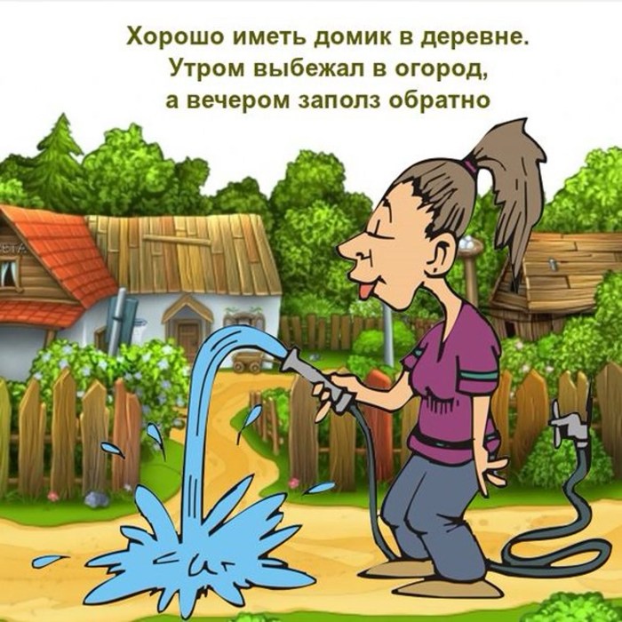 Fun about the cottage