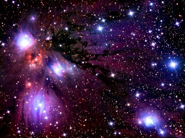 Yulia berr Julia Berr Model