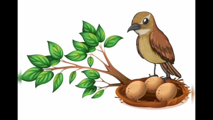 Chun Yun Genshin Impact