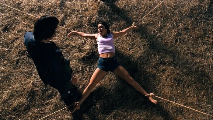 Carrier Film 2002 Shu Qi