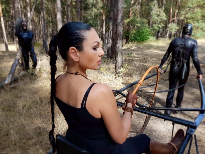 Torture of girls bdsm comics