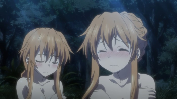 Drawing gearbox Gazelle 3302