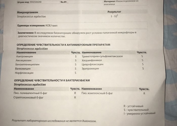 Homemade mature thick women