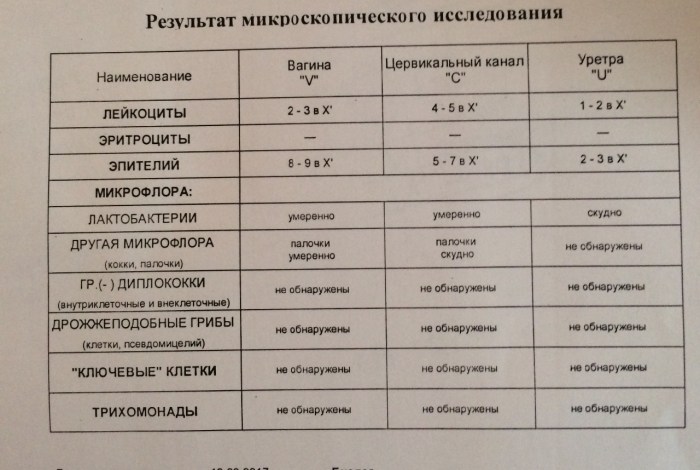 Porn, thick, fat grandmas