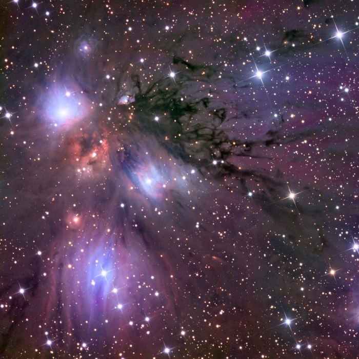 Nothing annoys a girl like everyone else