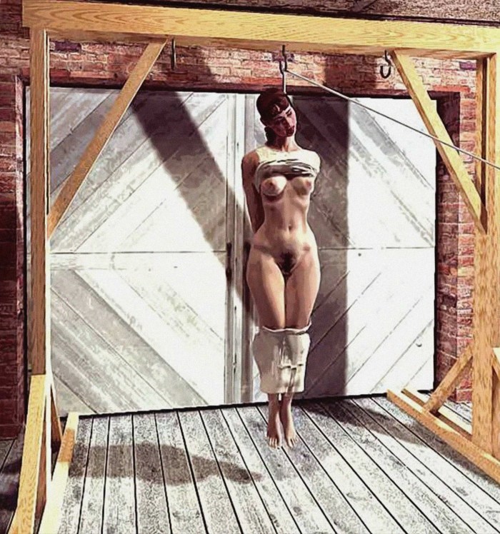 Erotic hanging 3D