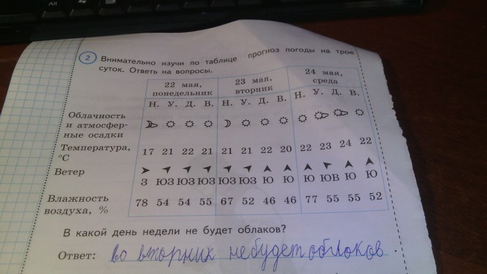 Eola and Amber Genshin