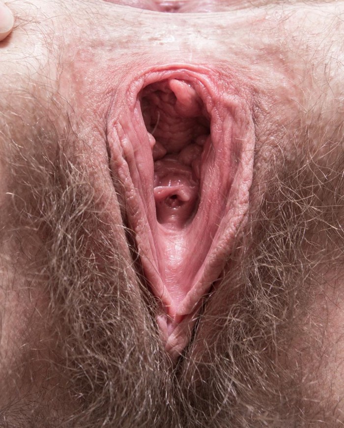Large hairy vaginas