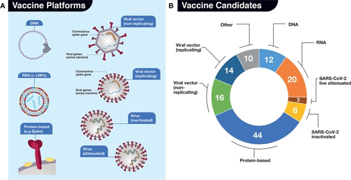 Antibodies IGM 0.72