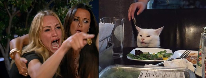 Meme with a cat at the table