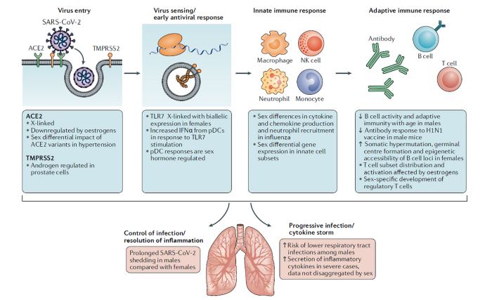 English language grade 3 do spe exercises with answers