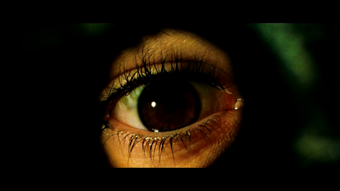 Monica Bellucci Matrix Revolution