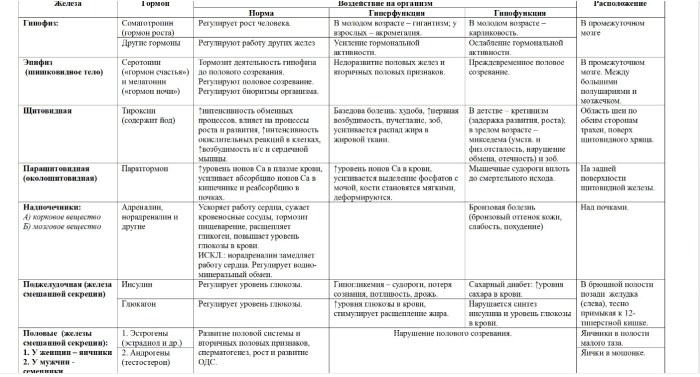 Description of the glands of internal secretion table