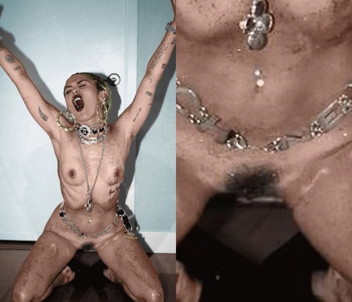 Miley Cyrus vagina