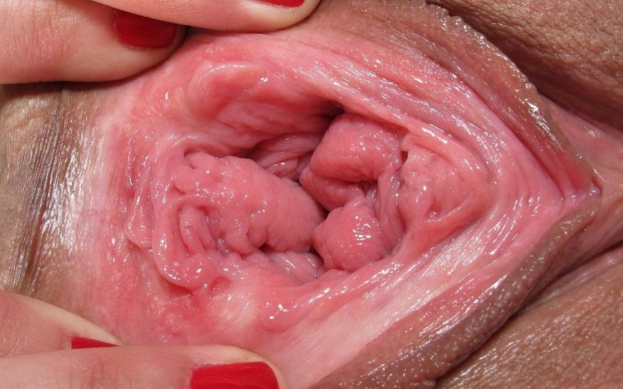 Healthy vagina from the inside