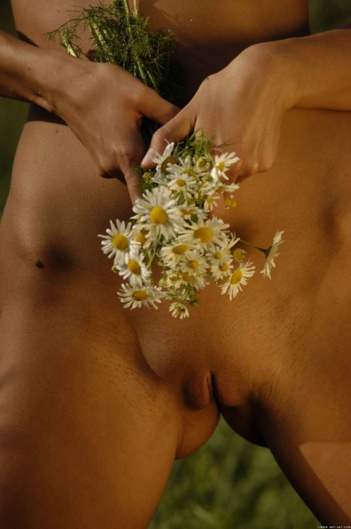 Fucking in the chamomile field