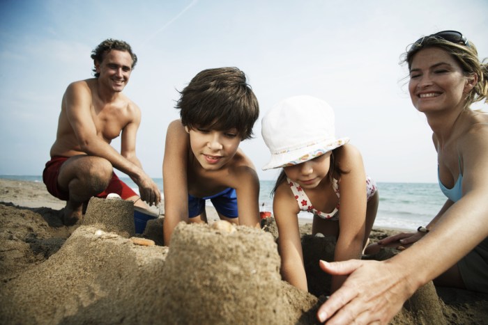French family film