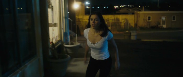 Nina North Tits Vagina