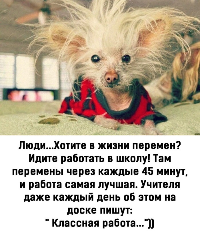 Dylan Ryder Secretary