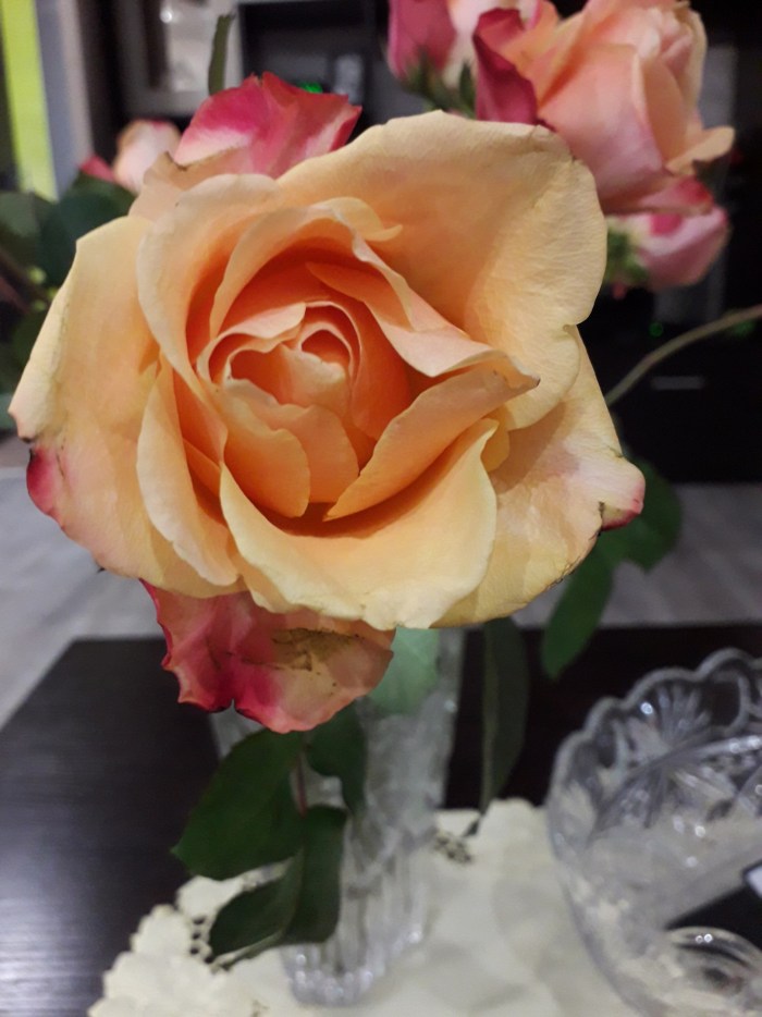 Light gray background