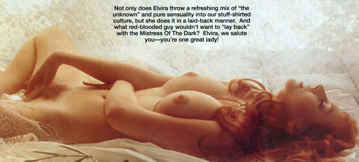 Elvira lord of darkness XXX