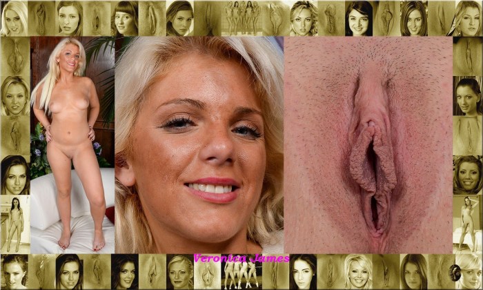 Celebrities of the blowjob