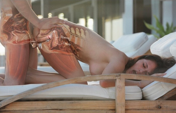 What are the poses in beds in pictures