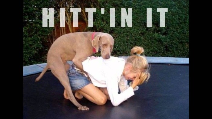 Tattooed puppet. Porn