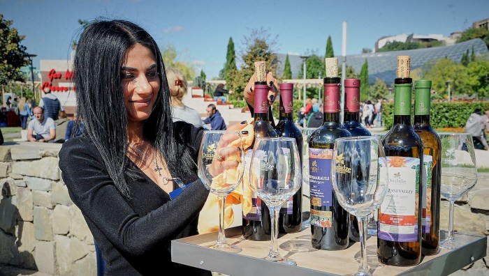 Model of Georgia Salpa