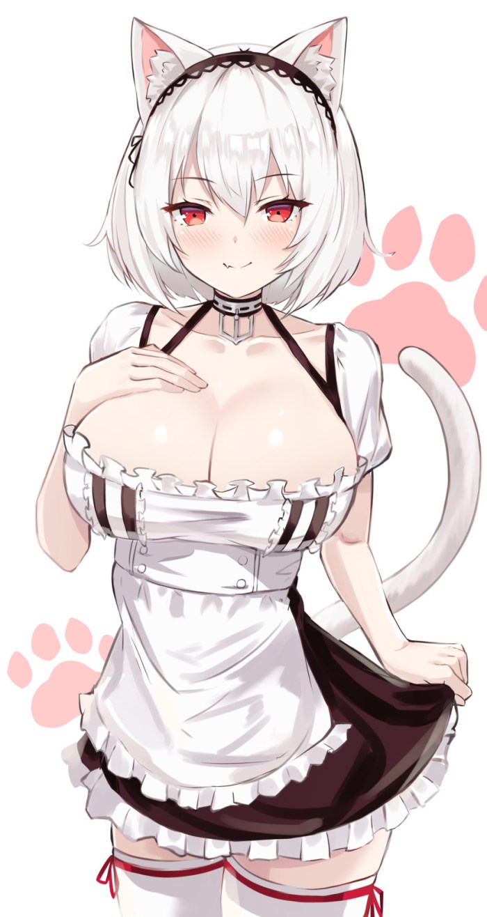 Ecchi Panza is maid