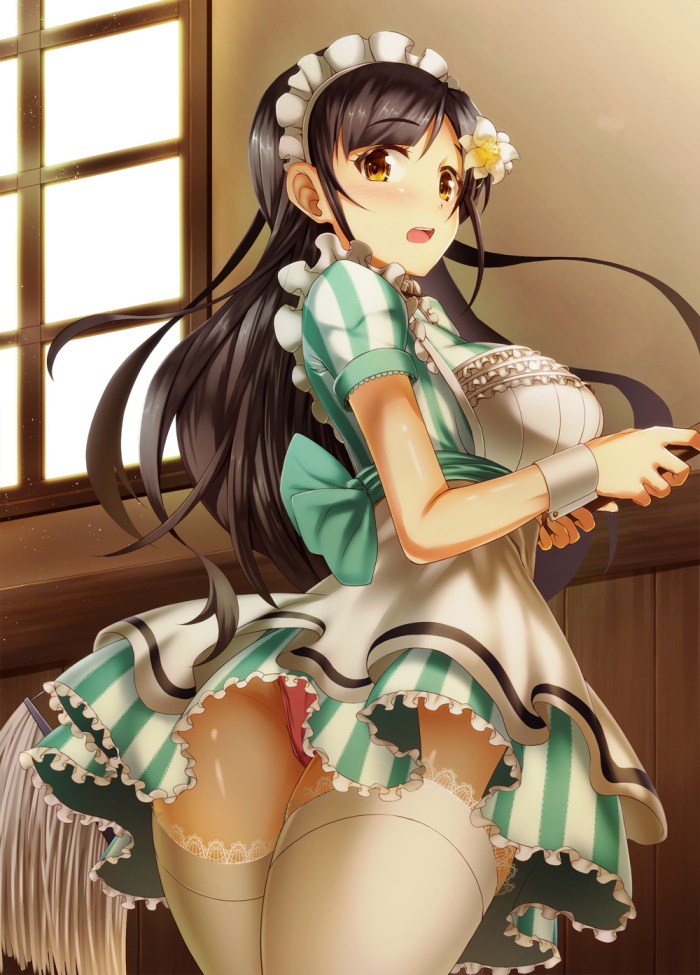 Erotic suit of the maid