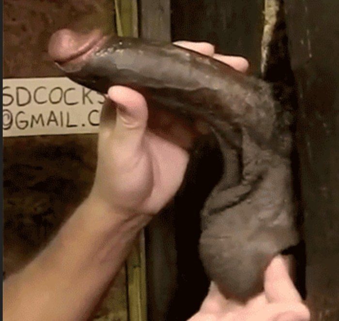 Huge cock from the wall