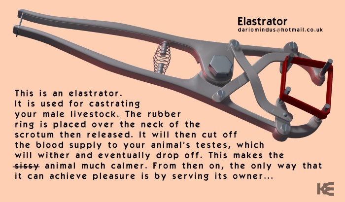 Hentai BDSM Guro Castrotia