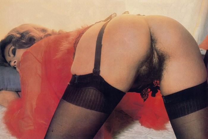 Retro hairy asses