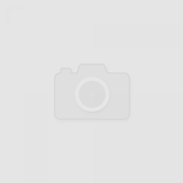 Stayer Profix RX600 3104