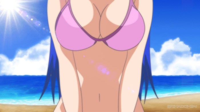 Anime girls with big breasts in swimsuits