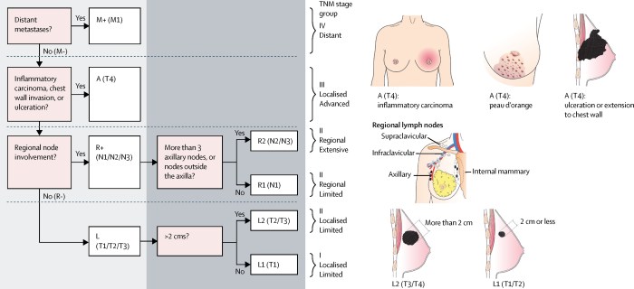 Anne Hathawi Crazy 2005