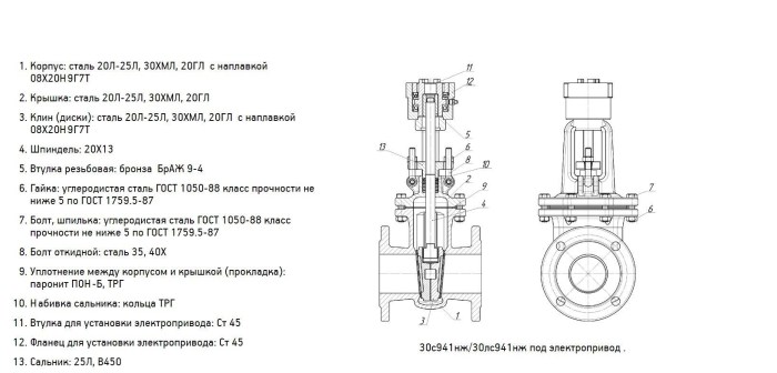Transsexual Vivian Porto Anaal