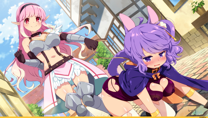 Sakura Dungeon Sukkub