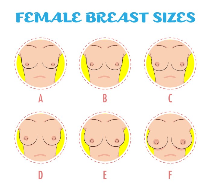 Breast Size F