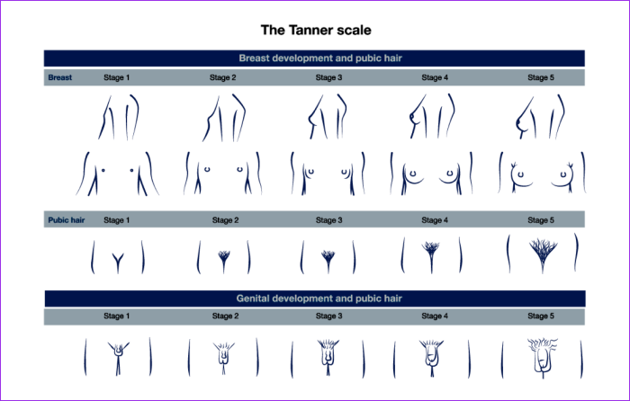 Candice Swuinfield Christmas